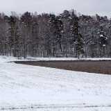 DSCF3414