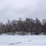 DSCF3415