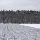 DSCF3427