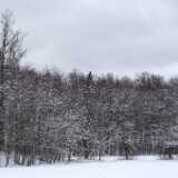 DSCF3446
