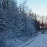 DSCF3683