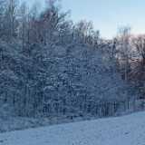DSCF3684