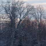 DSCF3690
