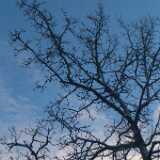 DSCF3698