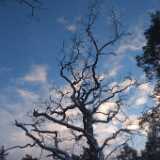DSCF3700