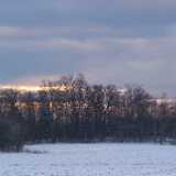 DSCF3704