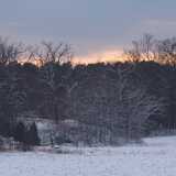 DSCF3706