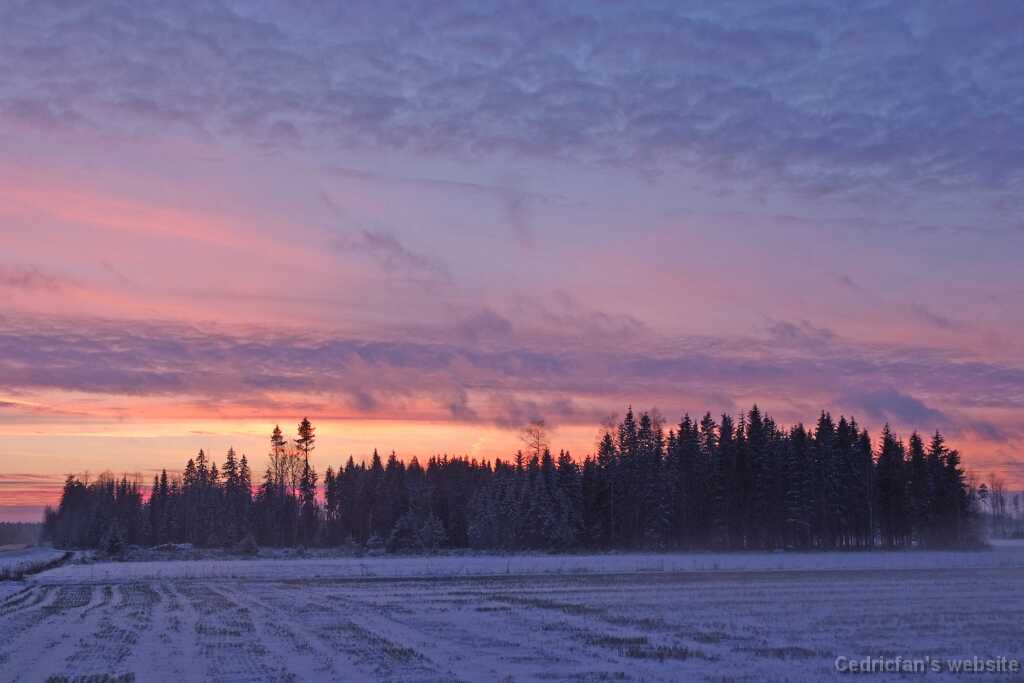 DSCF3792