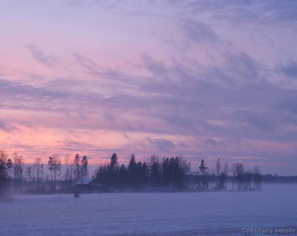 DSCF3794