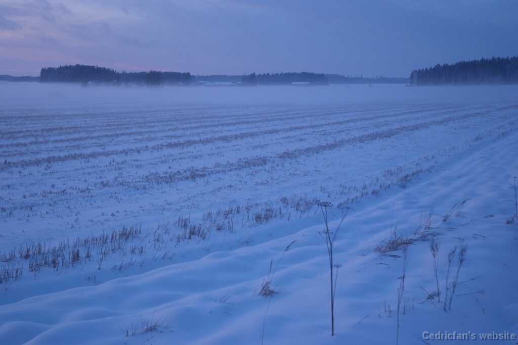 DSCF3797