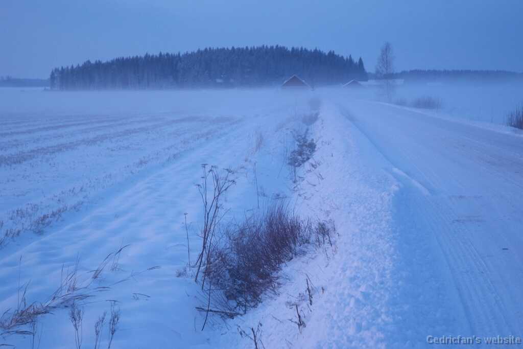 DSCF3799