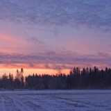 DSCF3792