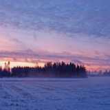 DSCF3793