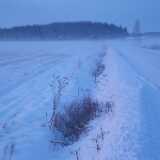 DSCF3799
