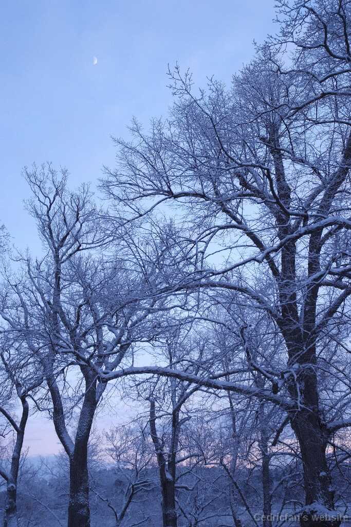 DSCF3622
