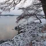 DSCF3595