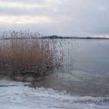 DSCF3613