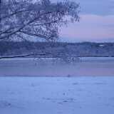DSCF3629
