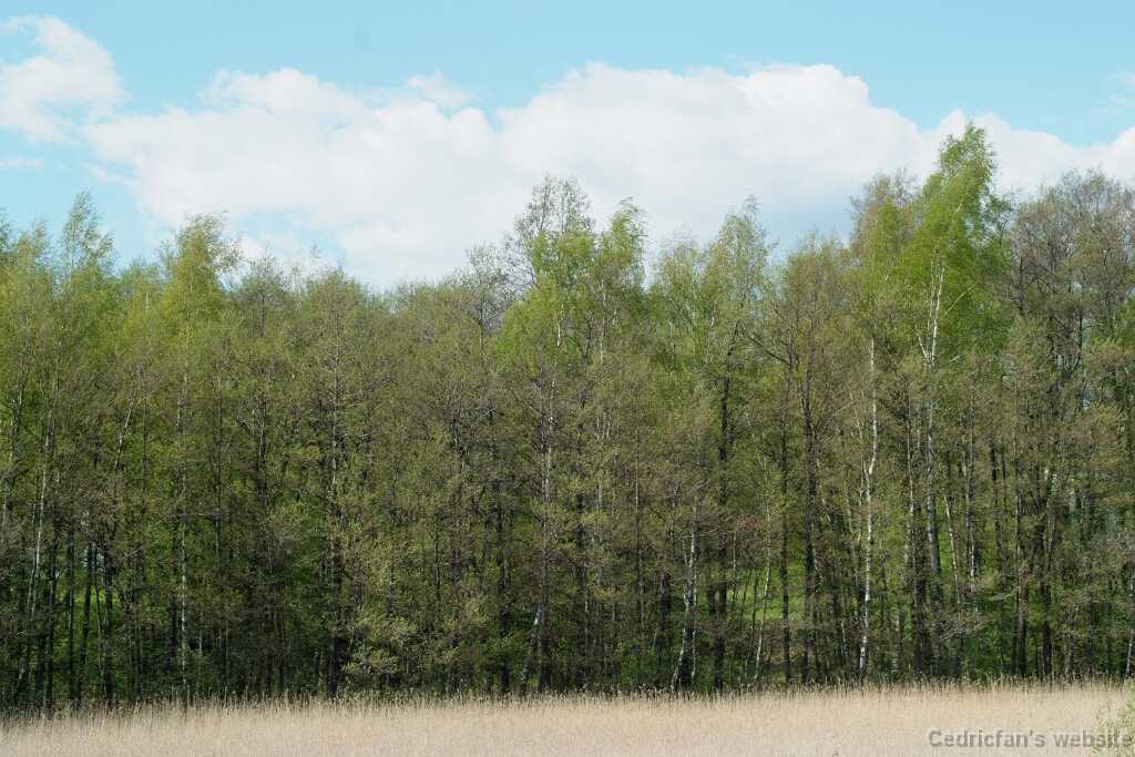 DSCF4643
