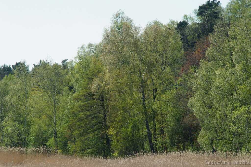 DSCF4646