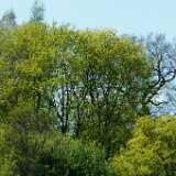 DSCF4638