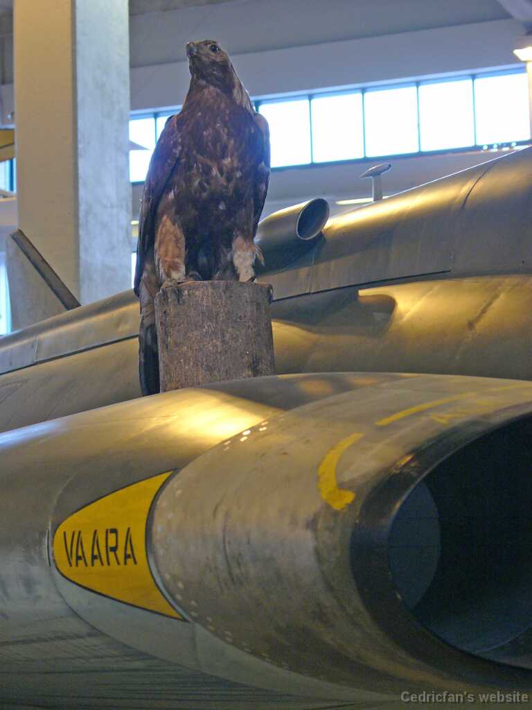 L1030104