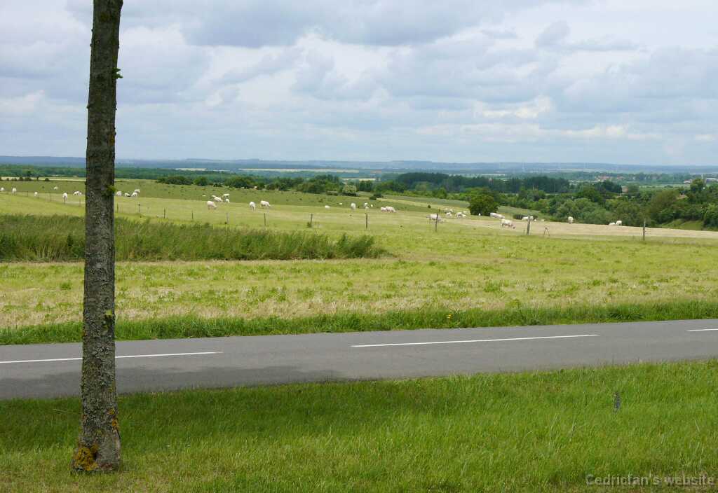 L1020678