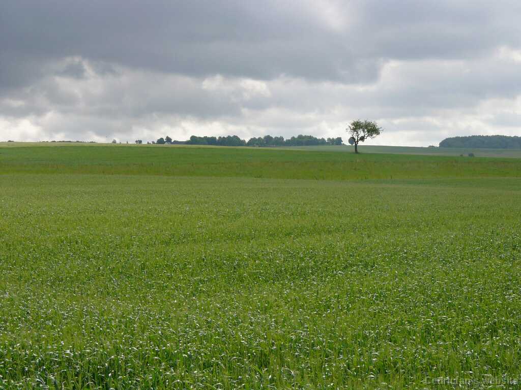 L1020640