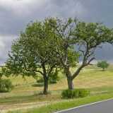 L1020641
