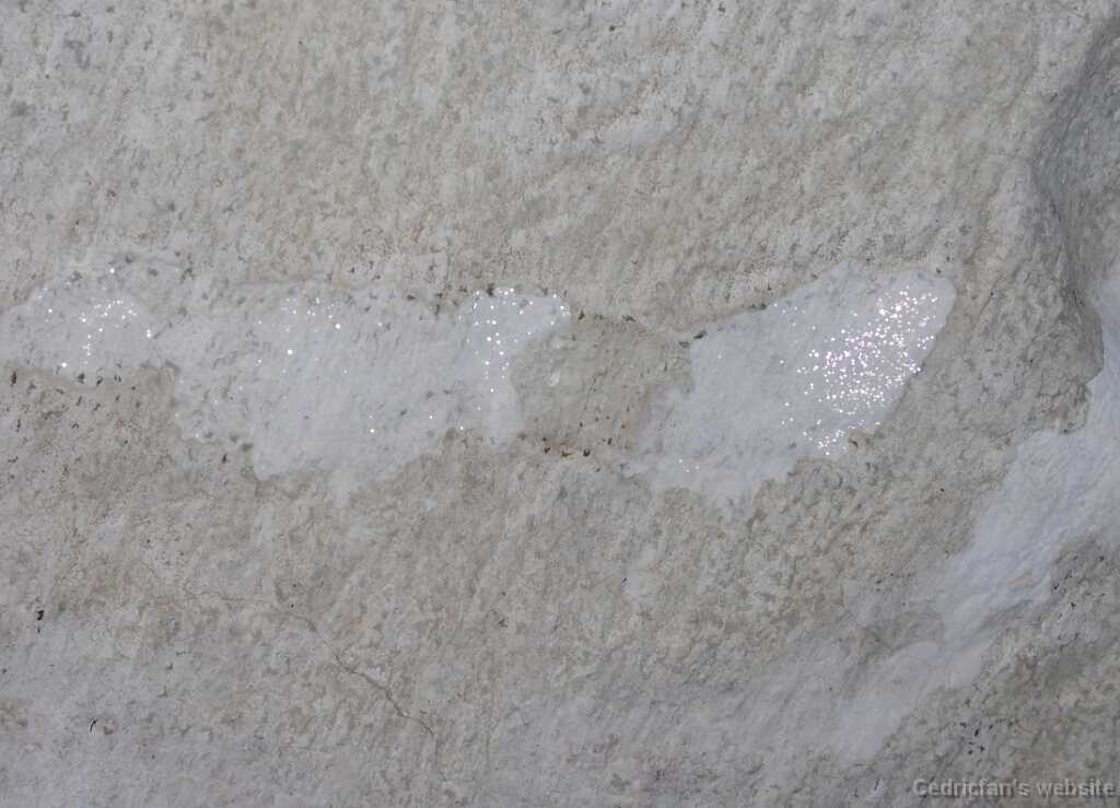 L1030302