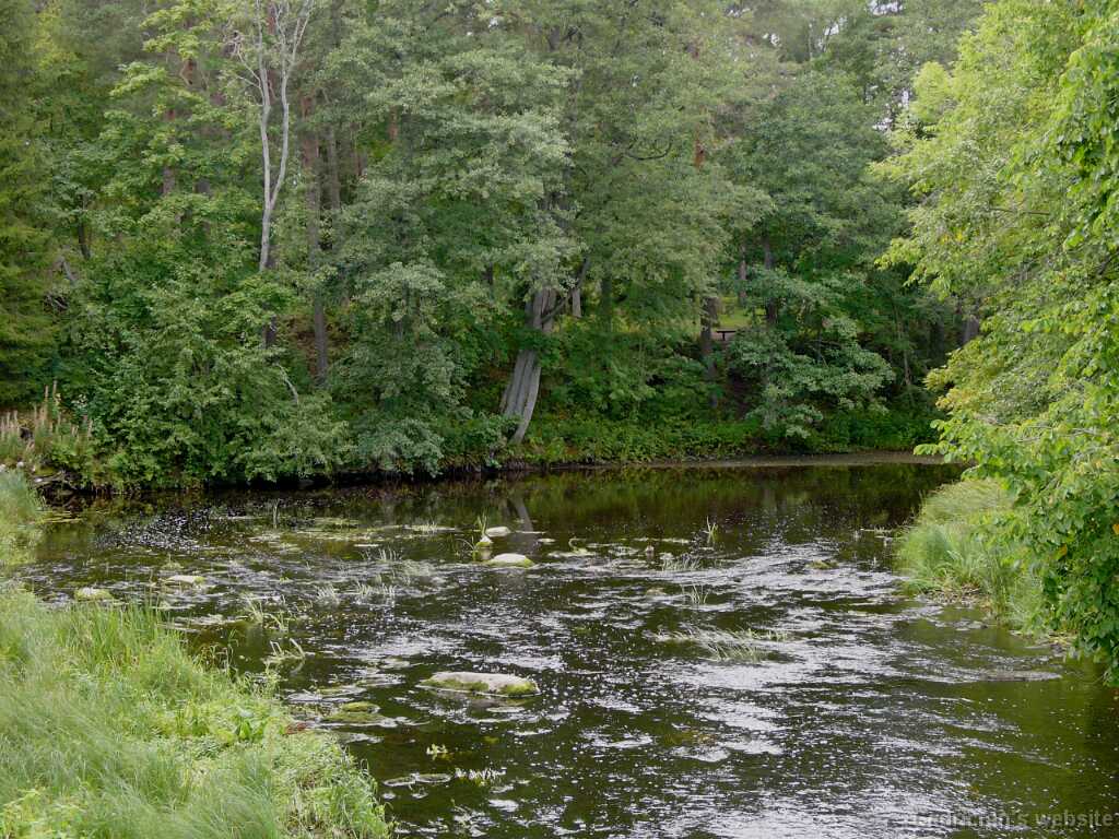 L1030675