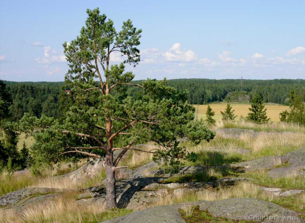 L1030509