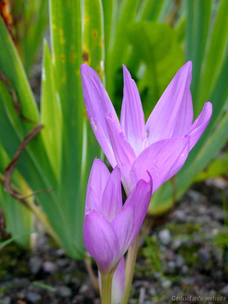L1030832