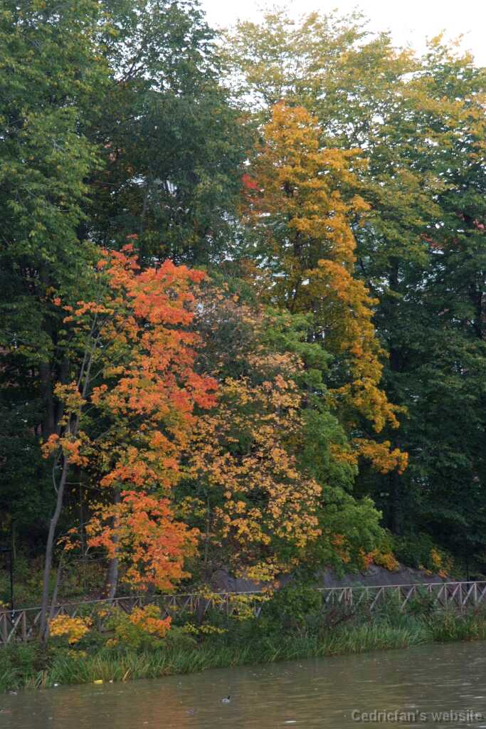 DSCF0375