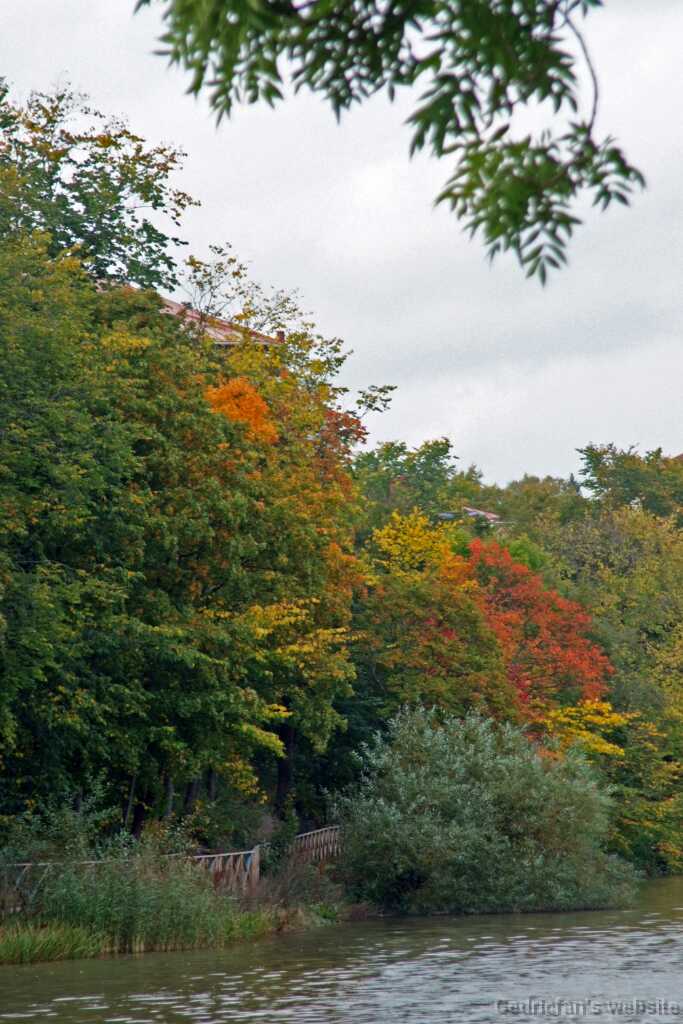DSCF0376
