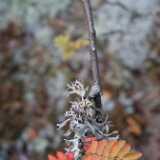 DSCF0321