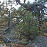 DSCF0322