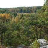 DSCF0324