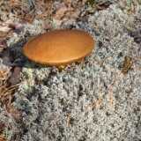 DSCF0326