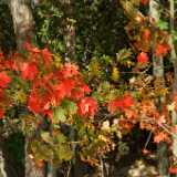 DSCF0330