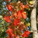 DSCF0331