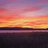 DSCF0345