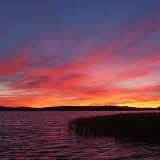 DSCF0355