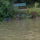 DSCF0370