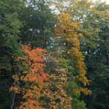 DSCF0375