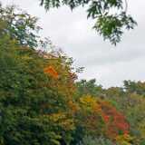 DSCF0376