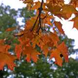 IMG_6897
