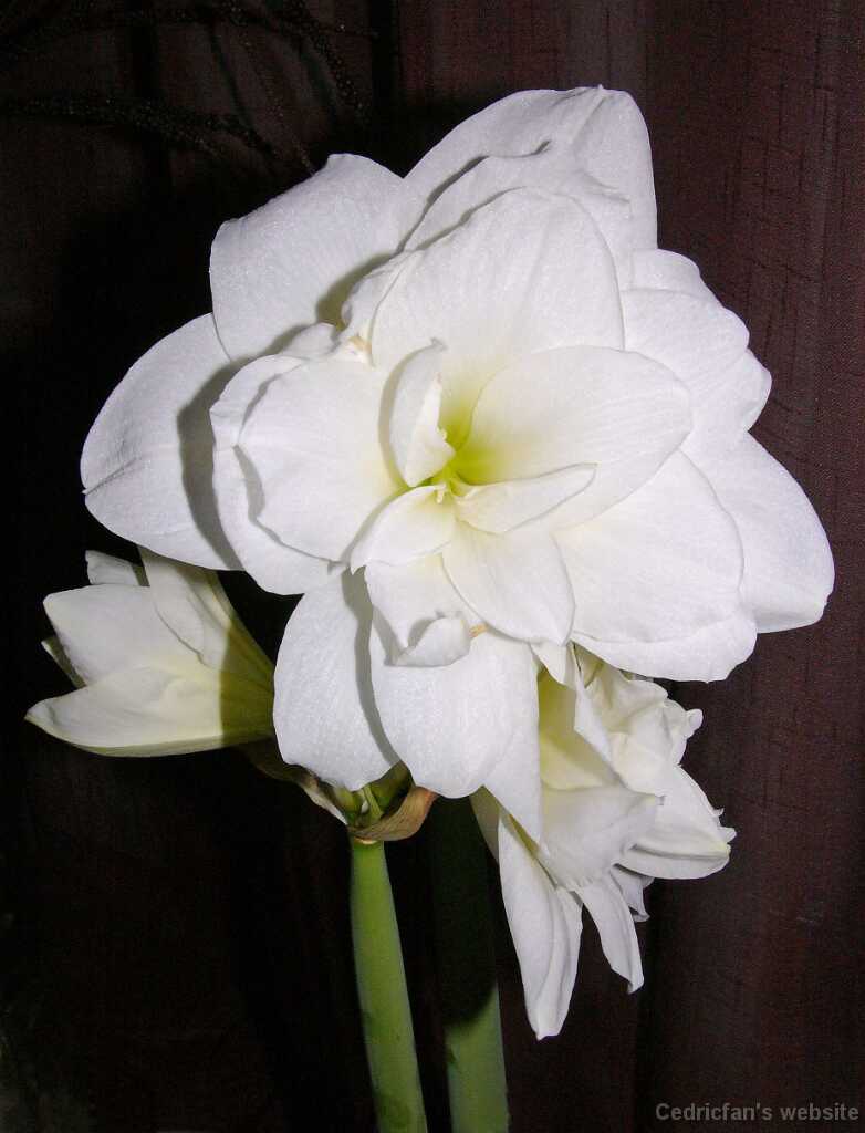 L1030862