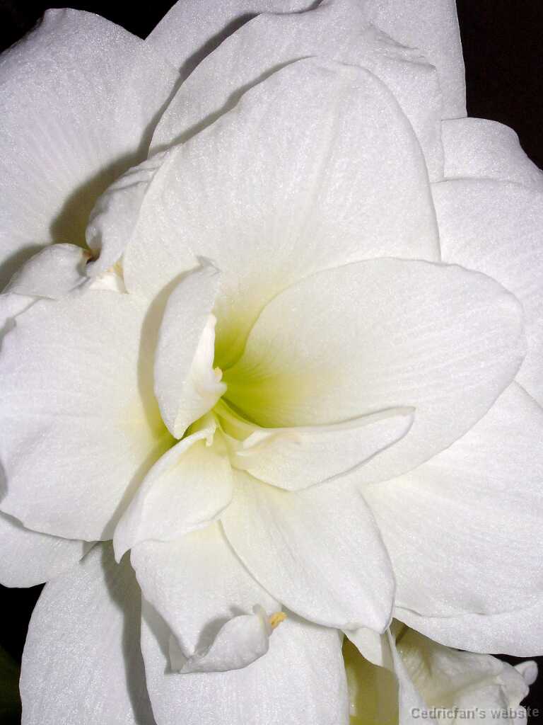 L1030866