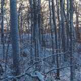 01 Jan Winter FSU lenses